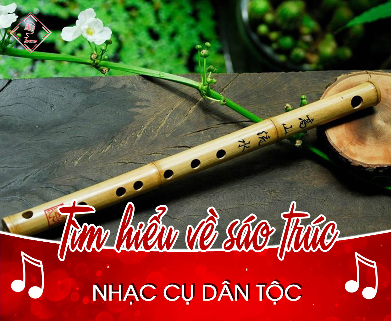 Tổng hợp hơn bài viết cách làm sáo trúc vừa cập nhật lagroup edu vn